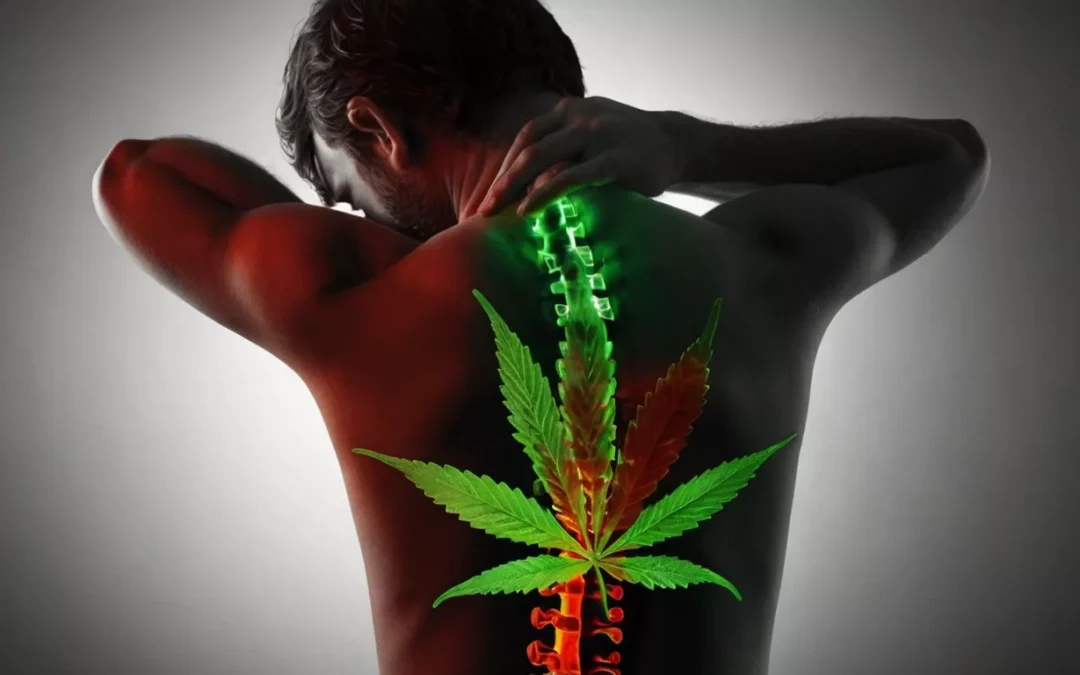 Cannabis Medicinal y Dolor Crónico: Una Luz de Esperanza para el Alivio