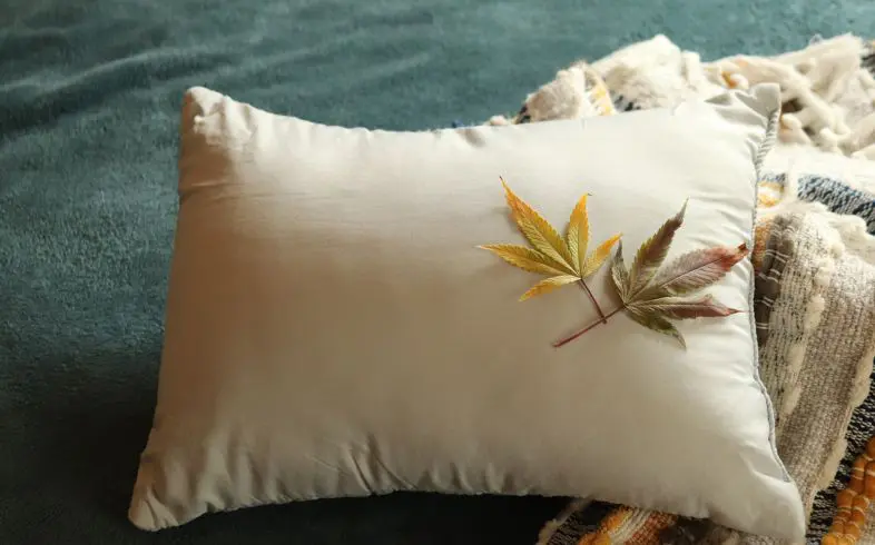 Dulces Sueños con Cannabis Medicinal: ¿La Clave para Desbloquear el Descanso Nocturno?